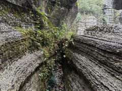 -梭布垭石林景区