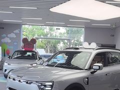 -上海浦东smart汽车全功能店(金桥店)