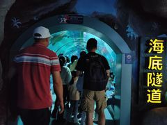 -福州罗源湾海洋世界旅游区