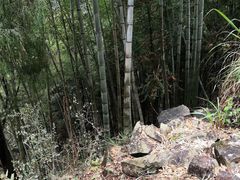 -合肥三国新城遗址公园