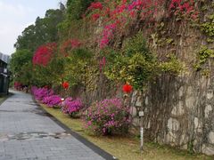 -广州神农草堂中医药博物馆