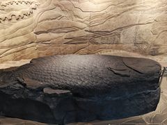 -白鹤梁水下博物馆