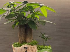 -鹿栖.精油SPA(金山世纪城店)