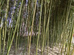 -皇家御河游(紫御湾码头)