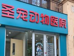 -圣宠动物医院·犬猫专科·影像中心·外科中心