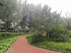 -东升文体公园
