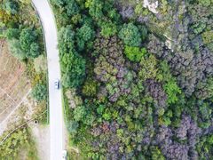 -阳台山自然风景区