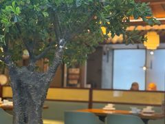 -三凤酒家·百年无锡菜(清扬茂业店)