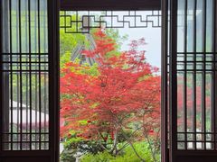 -祝家花園(伯渎港店)