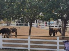 -盈香心动乐园