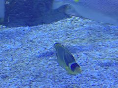 -常州海昌海洋探索馆