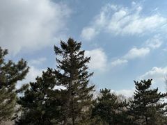 -莫子山公园