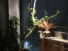 -渔太泰漓江小馆·广西融合菜(西街店)