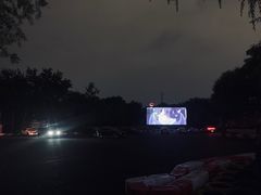 -枫花园汽车电影院(朝阳公园店)