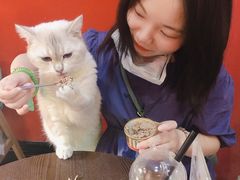 -猫色咖啡·猫咖