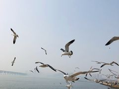 -星海广场