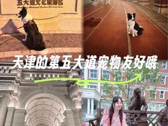 -天津五大道文化旅游区