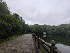 -杭州半山国家森林公园