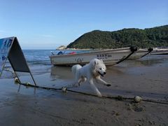 -西涌国际滨海旅游区