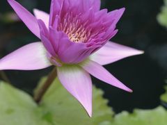 -上海辰山植物园