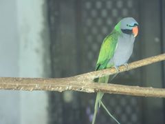 -青藏高原野生动物园