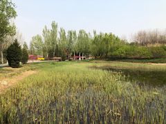-北坞公园