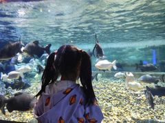 -成都浩海立方海洋公园