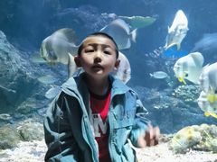 -华夏文旅海洋公园