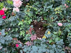 -人民公园(罗湖区)