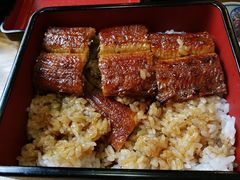 大阪鳗鱼饭-本家 柴藤