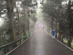 -南岳衡山风景名胜区