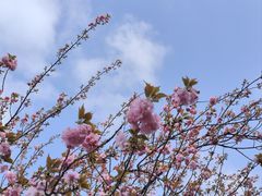 -苏州上方山国家森林公园