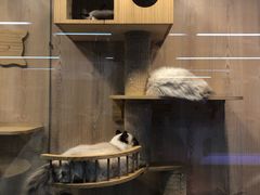 -米卢宠物公园(广华居店)