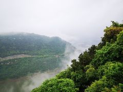 -铁山坪森林公园