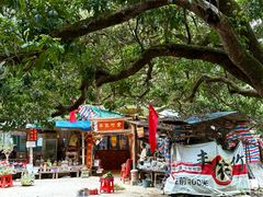 -丰依竹食·老牌竹筒饭