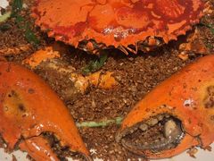 喜记正宗炒辣蟹-喜记避风塘炒辣蟹(旗舰店)