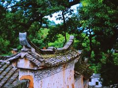 -杨家堂村