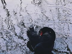 -香山湖公园