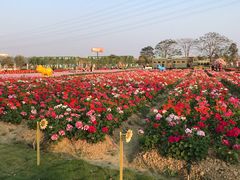 -盈香心动乐园