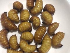 -金山锅贴店(金泉路店)