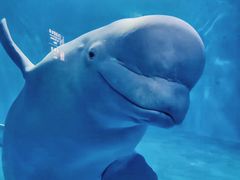 -多彩贵州城极地海洋世界