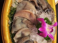 -一斗火锅·招财羊毛肚(北温泉九号店)