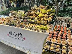 -瑞虹新天地月亮湾