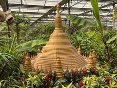 -南宫五洲植物乐园