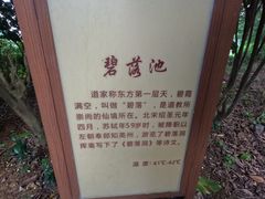 -英德宝晶宫天鹅湖茶语温泉