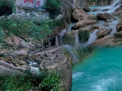 -广州白江湖森林公园