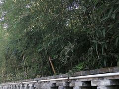 -东钱湖旅游度假区