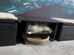 -零纪元VR体验馆·桌游(黄浦店)