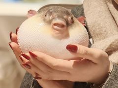 -永安鱼庄·镇江菜(东吴路店)