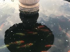 -不觉晓CAMPING(上海迪士尼营地店)